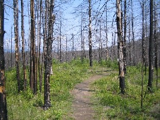 Camas Creek Nature Trail
