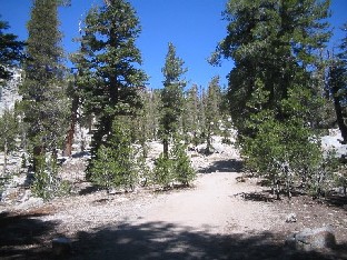 May Lake Trail