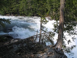 Rapids on McDonald Creek