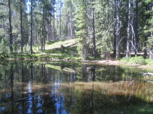 Pond on Baby Lake Trail
