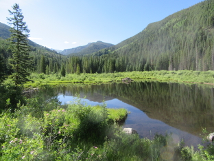 Still Pond by Trail