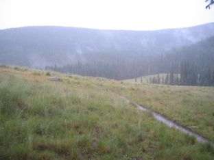 "The Meadow" on West Baldy Trail